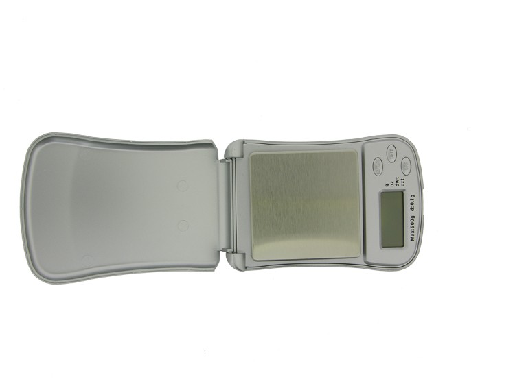Scale 500GX0.1G