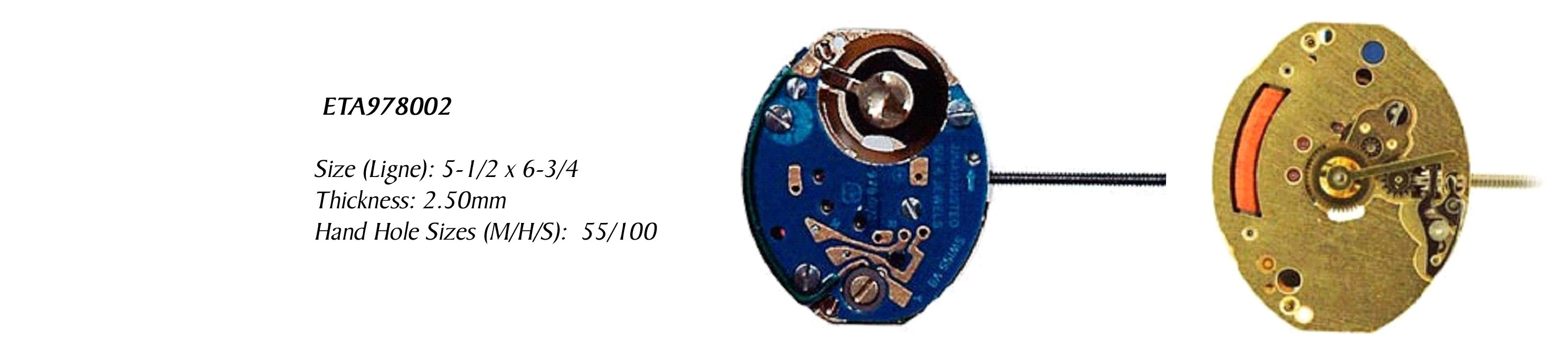 Watch Circuit